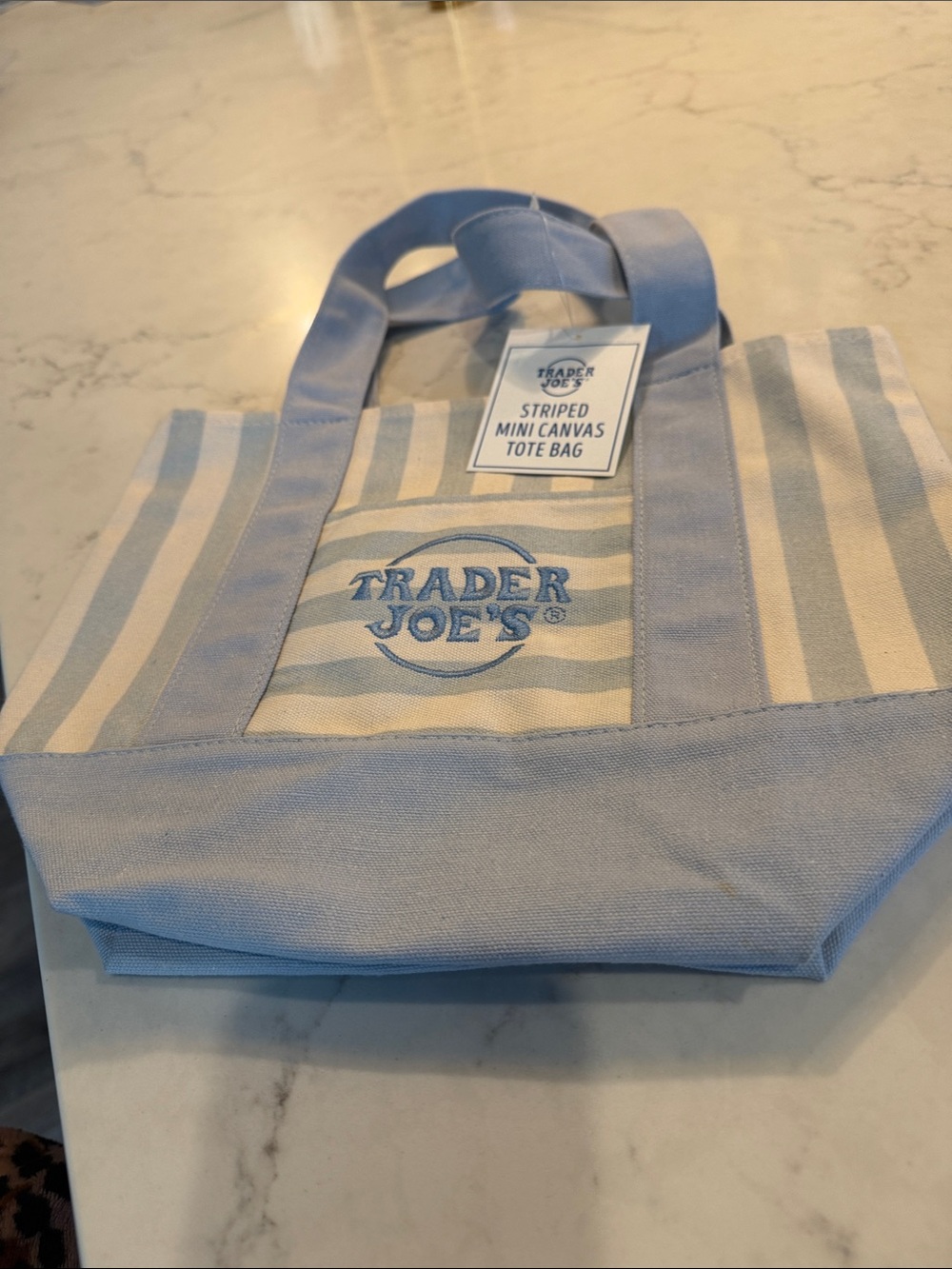 Stripped Mini Canvas Tote Bag